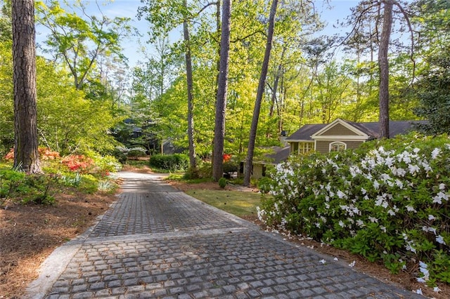 view of property's community with decorative driveway