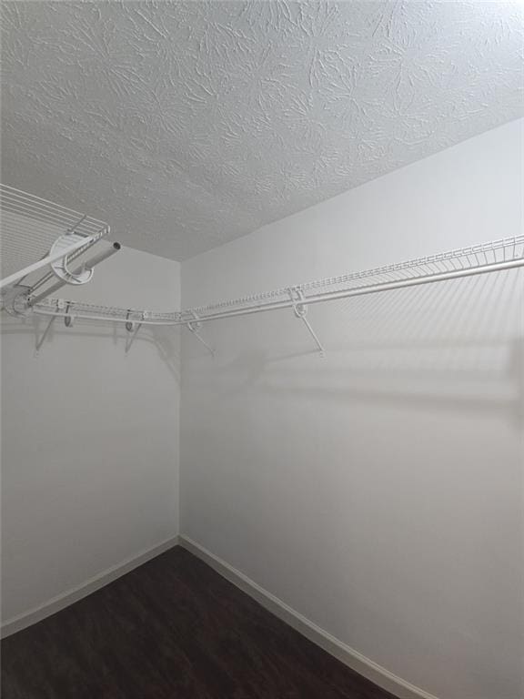 2821 NE Meadowlark Trl, Duluth, GA 30096 - spacious closet featuring dark wood finished floors