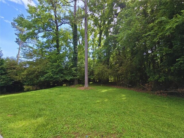 2821 NE Meadowlark Trl, Duluth, GA 30096 - view of green lawn