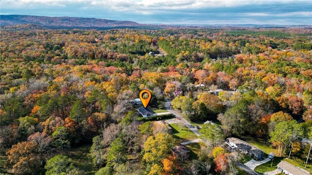 bird's eye view