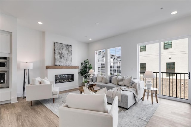 living room featuring light hardwood / wood-style flooring