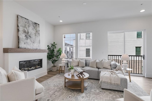 living room with wood-type flooring