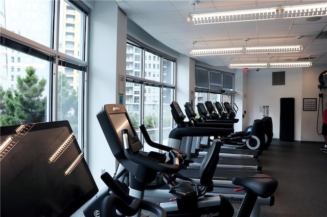 workout area with a drop ceiling and a wall of windows