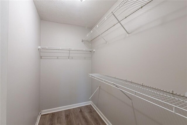 spacious closet with hardwood / wood-style floors