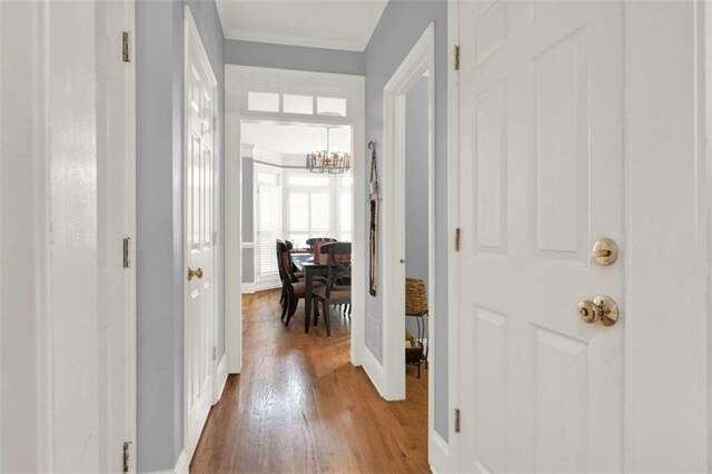 foyer featuring light wood-type flooring and ornamental molding