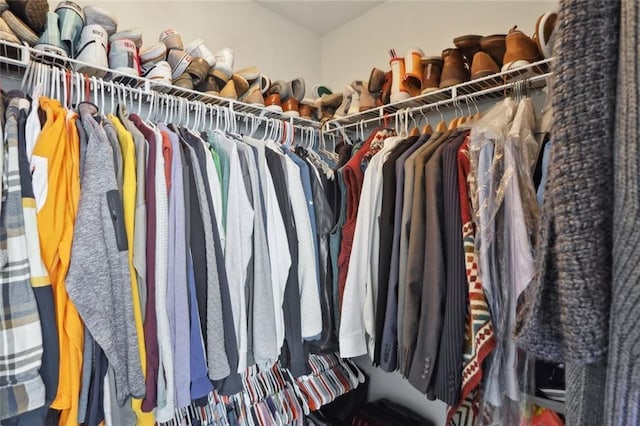 view of spacious closet