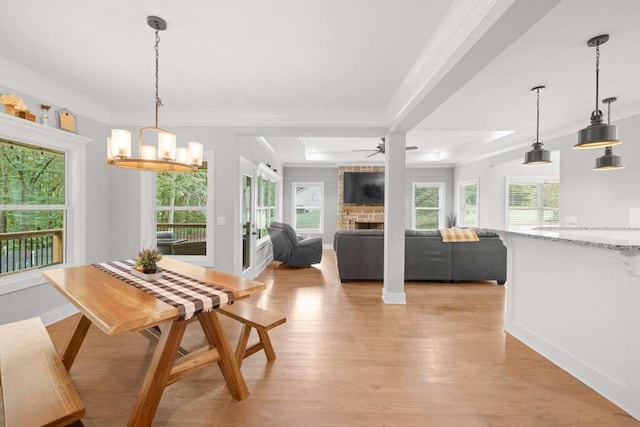 dining room with a stone fireplace, a raised ceiling, a healthy amount of sunlight, and light hardwood / wood-style flooring