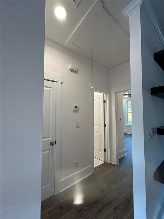 hallway with dark wood-type flooring