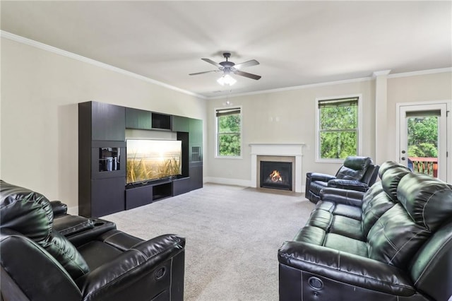 living room with crown molding, carpet flooring, a fireplace with flush hearth, and ceiling fan