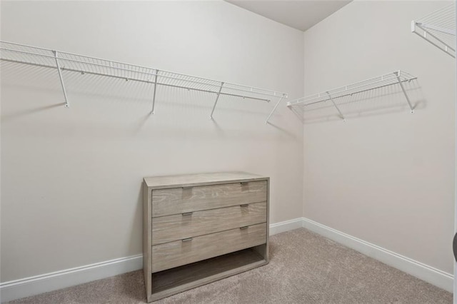 2040 Birchdale Dr, Milton, GA 30004 - walk in closet featuring carpet flooring