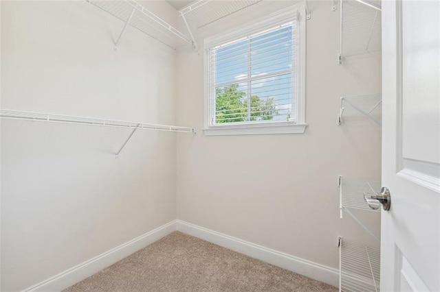 2040 Birchdale Dr, Milton, GA 30004 - spacious closet with carpet floors