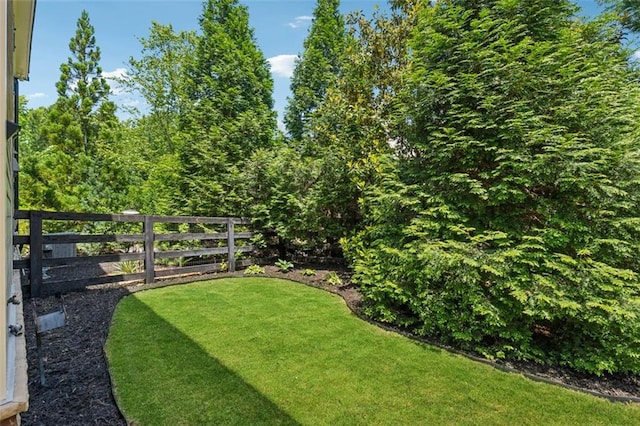 2040 Birchdale Dr, Milton, GA 30004 - view of yard