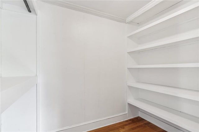 2055 Cactus Ln, Cumming, GA 30040 - view of storage area