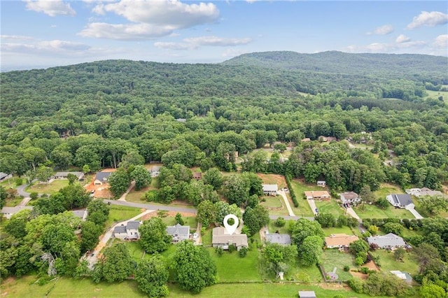 2055 Cactus Ln, Cumming, GA 30040 - aerial view of a forest and a mountainous background