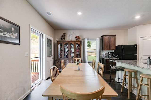 dining area featuring plenty of natural light, sink, and dark wood-type flooring