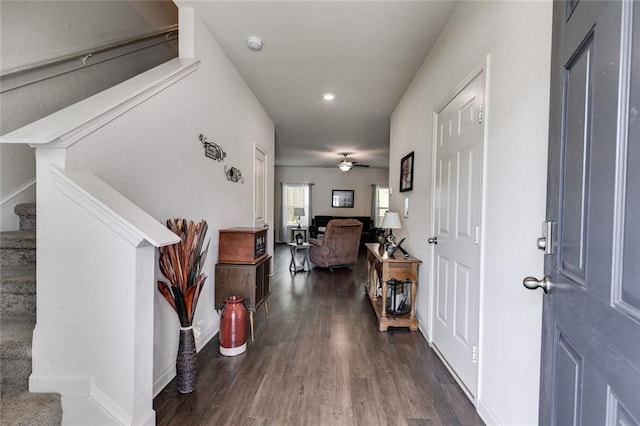 foyer with ceiling fan and dark wood-type flooring