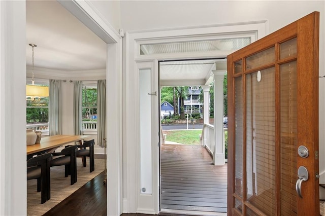 47 Oakridge Ave SE, Atlanta, GA 30317 - entryway featuring healthy amount of natural light, dark wood finished floors, and crown molding
