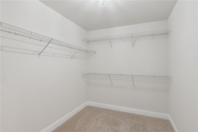 spacious closet featuring light colored carpet