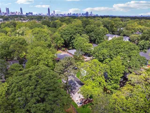 183 Whitefoord Ave NE, Atlanta, GA 30307 - aerial view of a view of skyline and a forest
