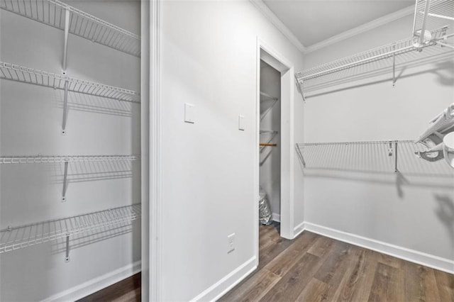 walk in closet with wood finished floors