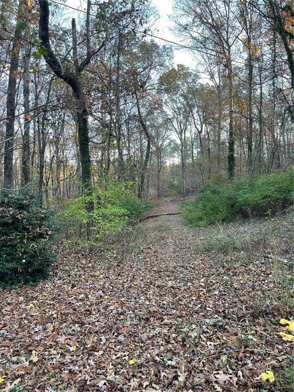 289 Sutallee Pl, White GA, 30184 land for sale