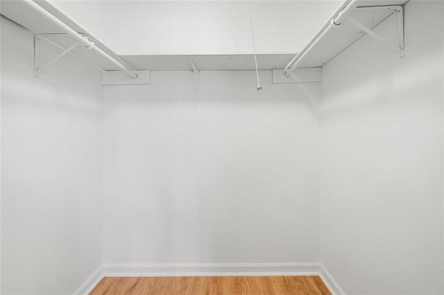 walk in closet with wood-type flooring