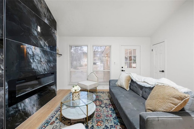 living room with hardwood / wood-style flooring and vaulted ceiling