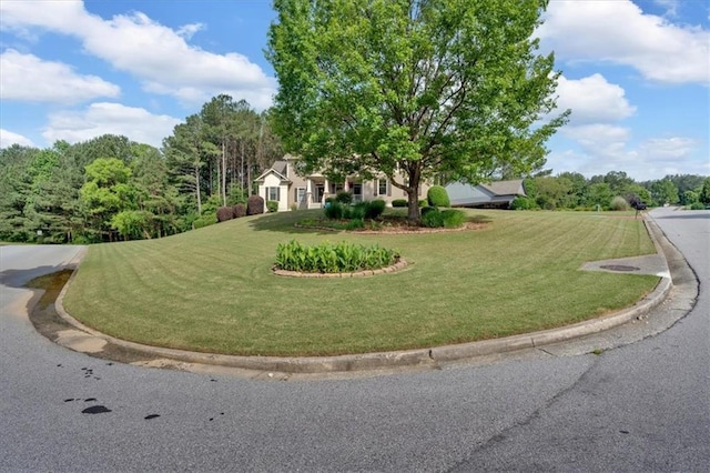 87 Washington Blvd, Dallas, GA 30132 - view of home's community featuring a lawn