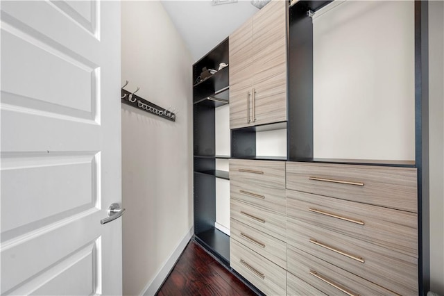 1080 Peachtree St NE Unit 2710, Atlanta, GA 30309 - walk in closet featuring dark wood finished floors