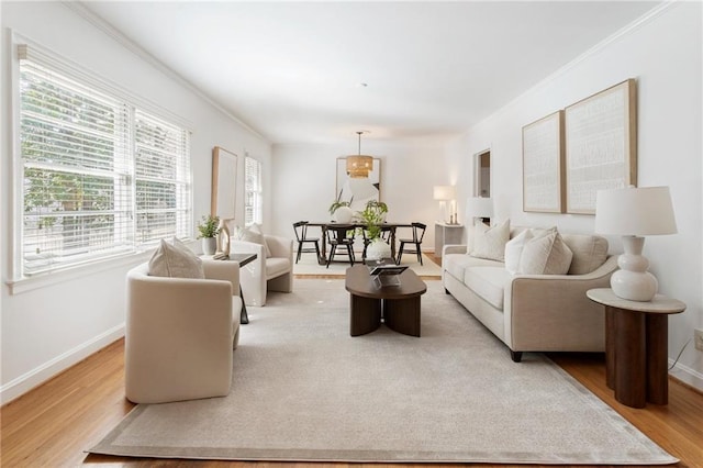 living room with ornamental molding and light hardwood / wood-style flooring