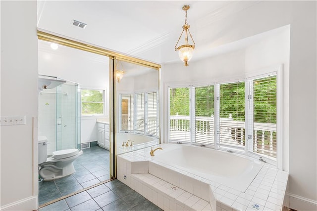 bathroom featuring plenty of natural light, toilet, a bath, and visible vents