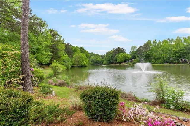 water view featuring a forest view