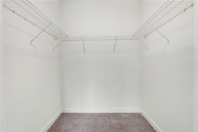 spacious closet with carpet flooring