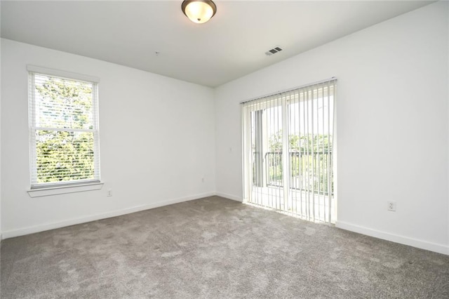 empty room with carpet and a healthy amount of sunlight