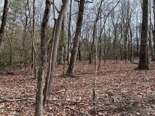 Listing photo 2 for LOT4 Monument Falls Rd, Jasper GA 30143