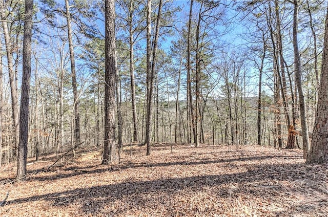 view of local wilderness with a wooded view