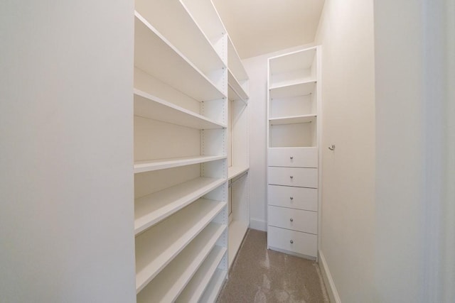 spacious closet featuring carpet flooring