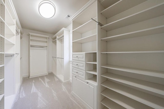 spacious closet featuring visible vents and light colored carpet