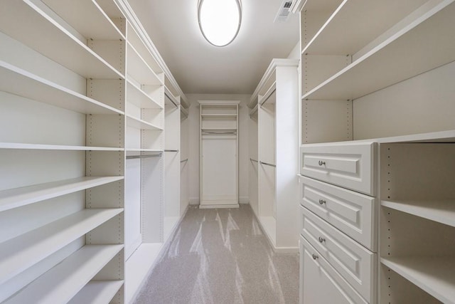 spacious closet featuring light carpet