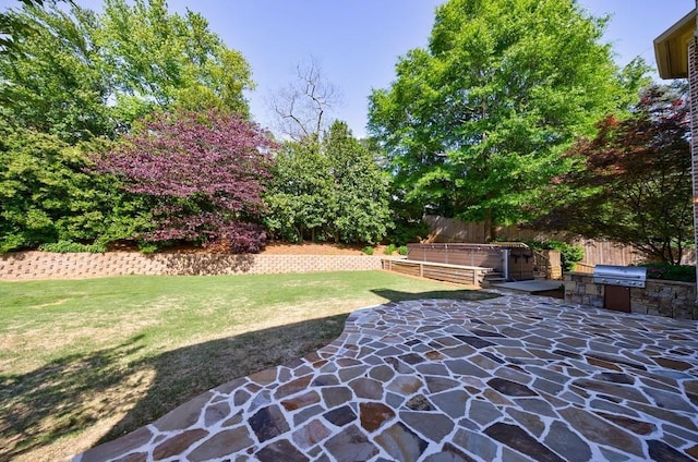 view of yard with fence, an outdoor kitchen, and a patio