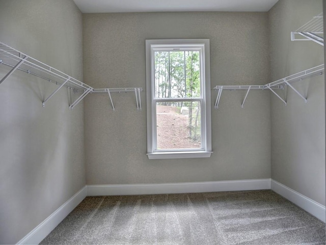 3730 Reserve Overlook Way, Cumming, GA 30041 - spacious closet with carpet