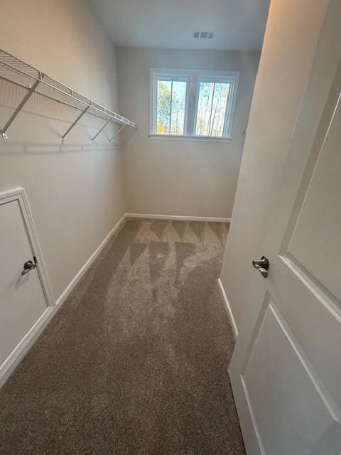 walk in closet featuring carpet flooring