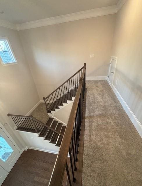 staircase with crown molding, carpet floors, and baseboards