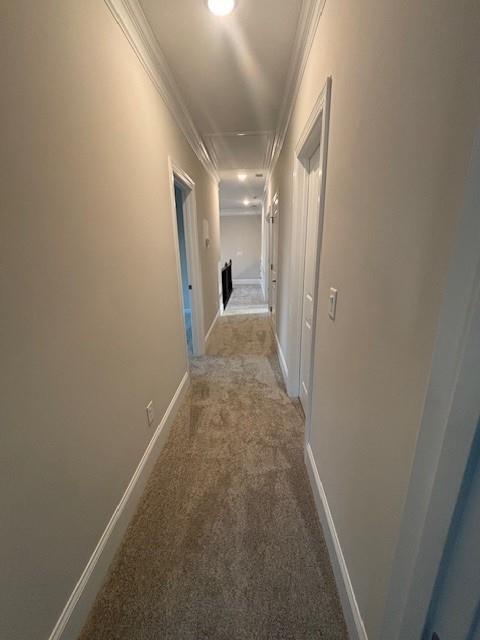 hall with ornamental molding, carpet floors, and baseboards
