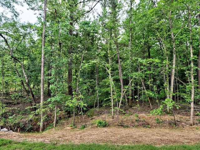 3730 Reserve Overlook Way, Cumming, GA 30041 - view of woods
