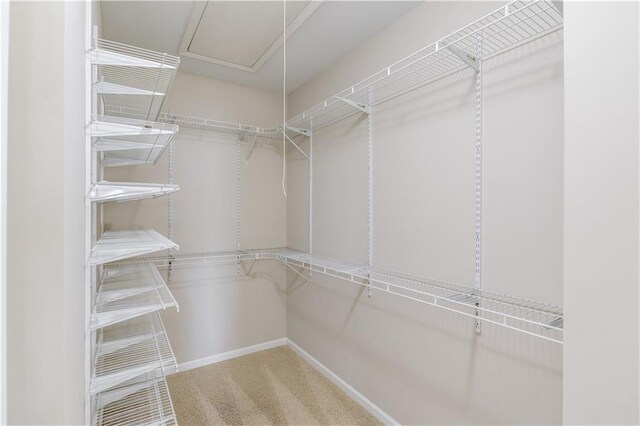 spacious closet featuring carpet and attic access