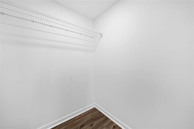 walk in closet featuring dark wood-style floors
