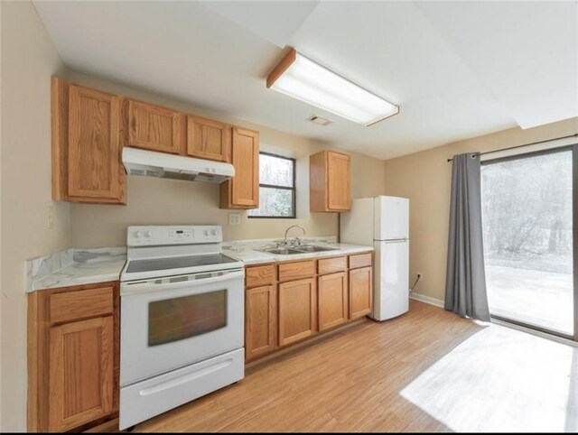 kitchen featuring light hardwood / wood-style floors, sink, and white appliances