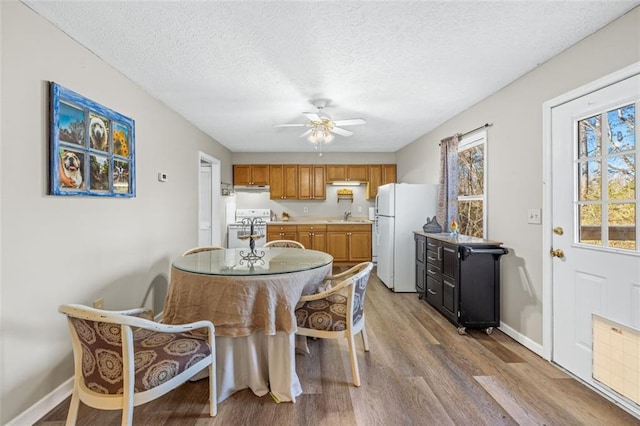 dining room with light wood-style floors, ceiling fan, a textured ceiling, and baseboards