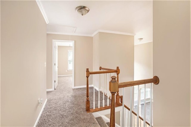 hallway featuring crown molding and carpet